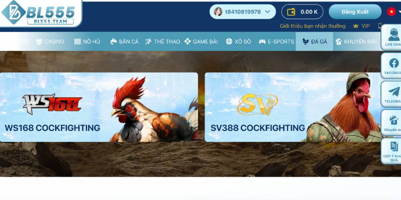 Tìm hiểu sơ lược về sảnh đá gà BL555